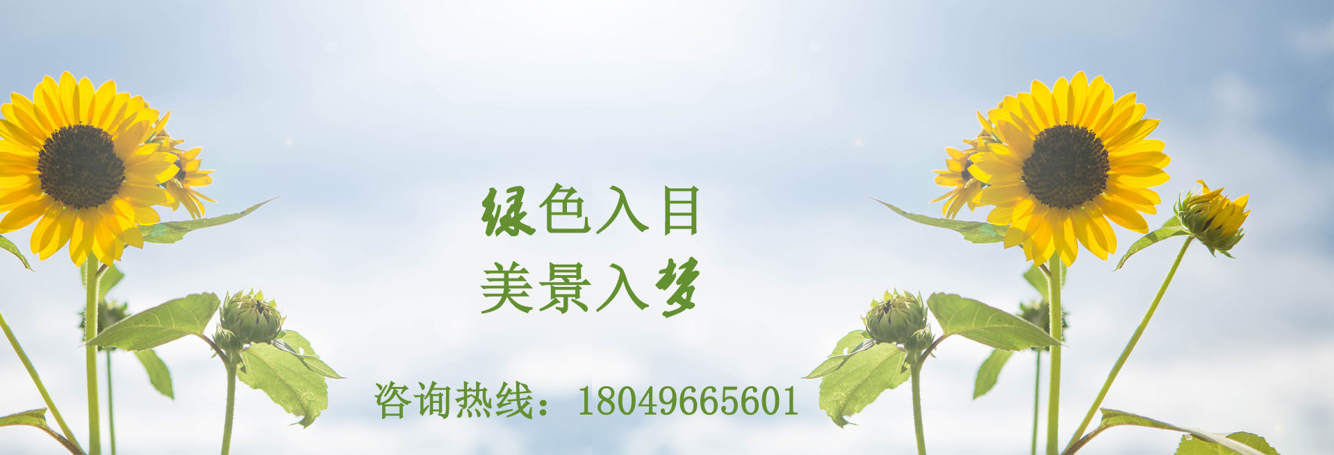 幻灯2